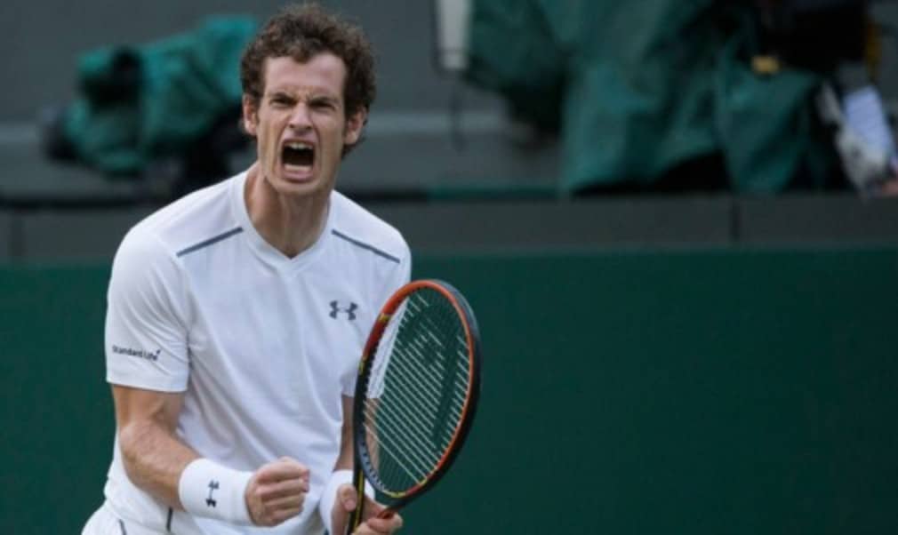 Andy Murray will face seven-time champion Roger Federer in the Wimbledon semi-finals after both players reached the last four with straight-sets wins on Wednesday