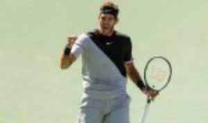 Juan Martin del Potro ensured his spot in the championship match of the BNP Paribas Open with a thumping 6-2 6-3 success over Milos Raonic