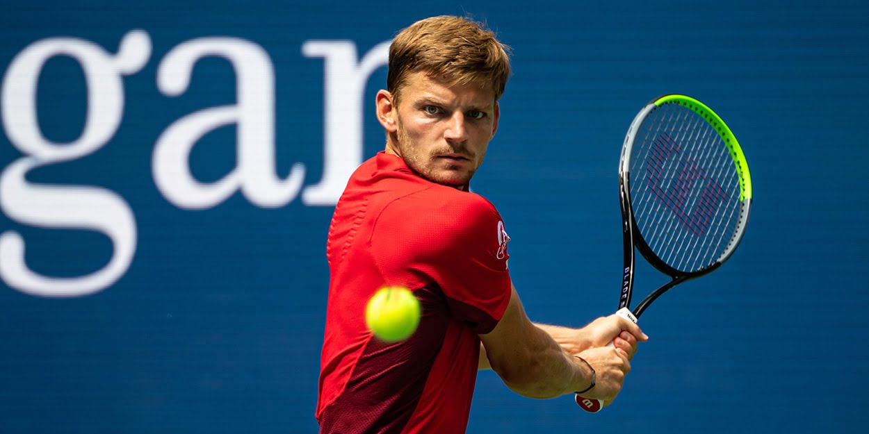 David Goffin backhand