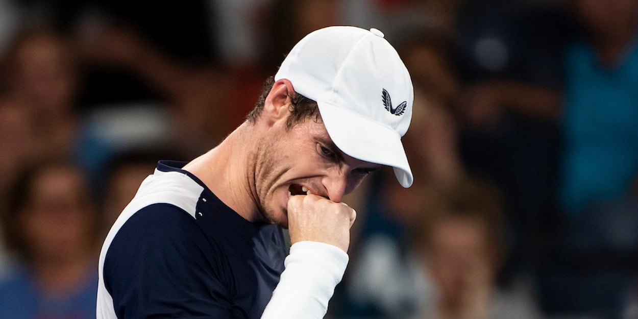 Andy Murray Australian Open 2019