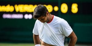 Fernando Verdasco Wimbledon 2019