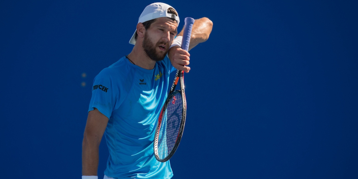 Jurgen Melzer ATP Brisbane International 2015