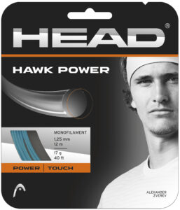 HEAD Hawk Power tennis strings